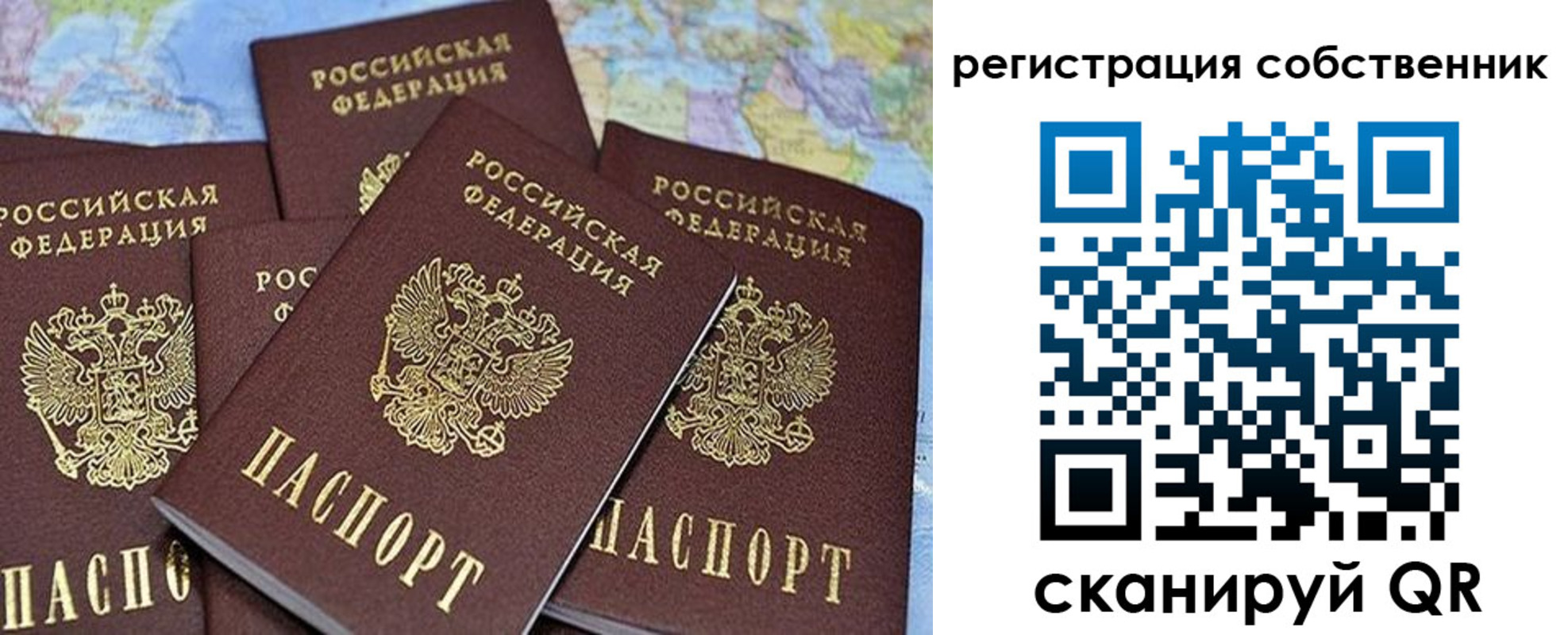 прописка для школы в Кондрово